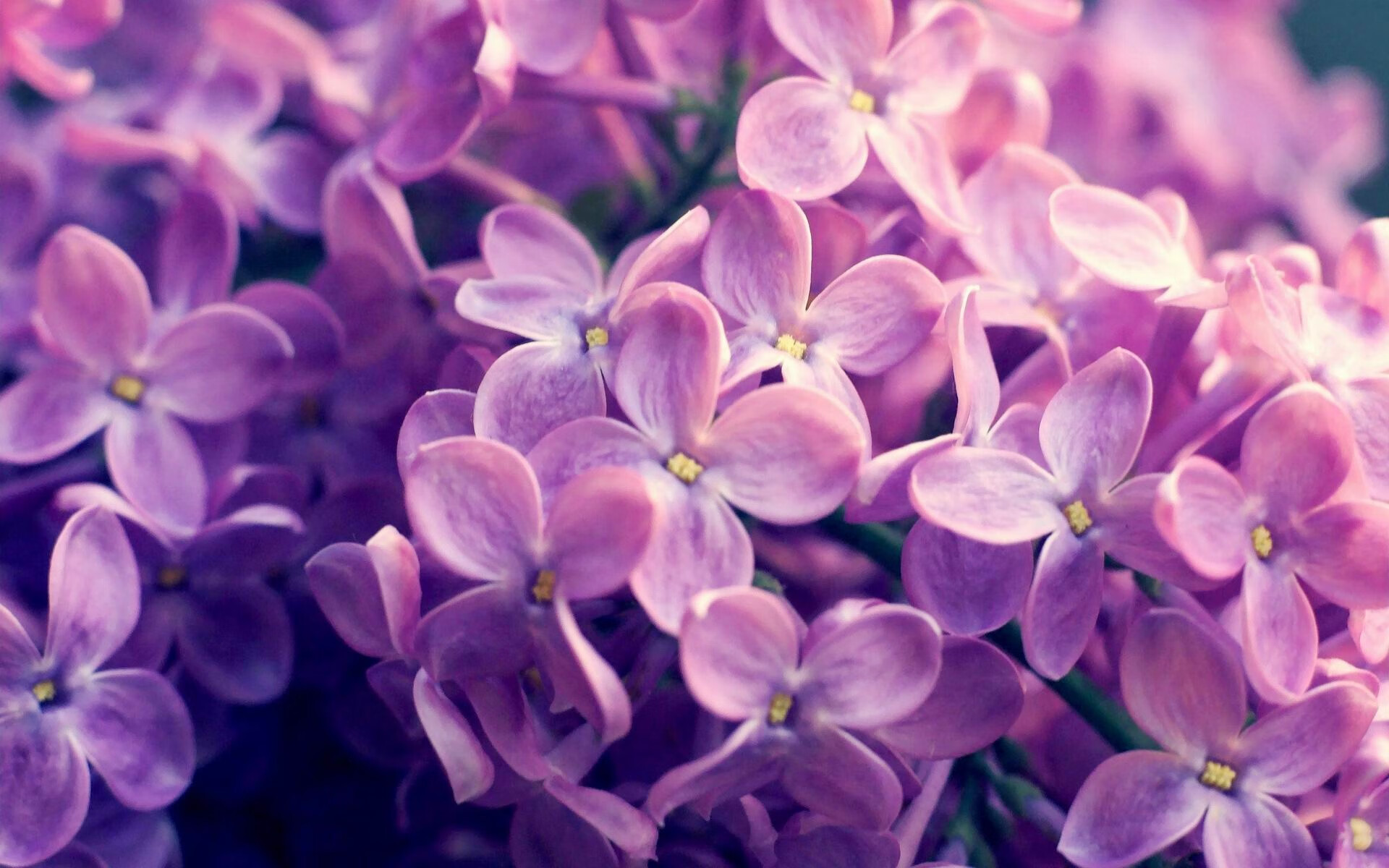 开云官网-中国足球联赛数字化转型稳步推进，中国足球联赛改革