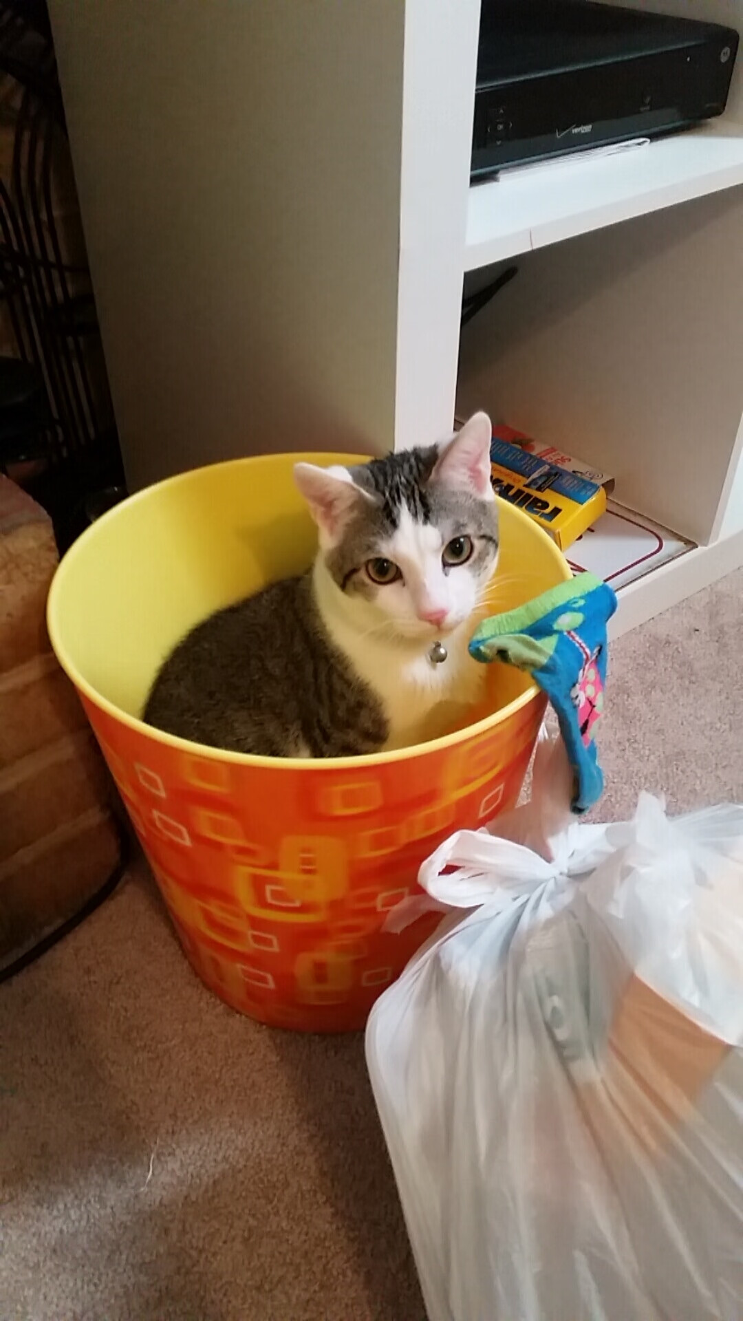 kaiyun体育app-利物浦采用新的高压战术，连续三场零封对手，利物浦never give up