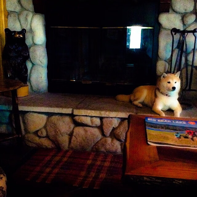 西汉姆联中场核心状态爆棚,引发关注,西汉姆联位置