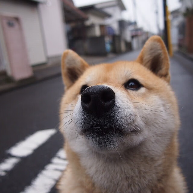 体育球队与其他俱乐部建立合作关系,体育俱乐部足球队