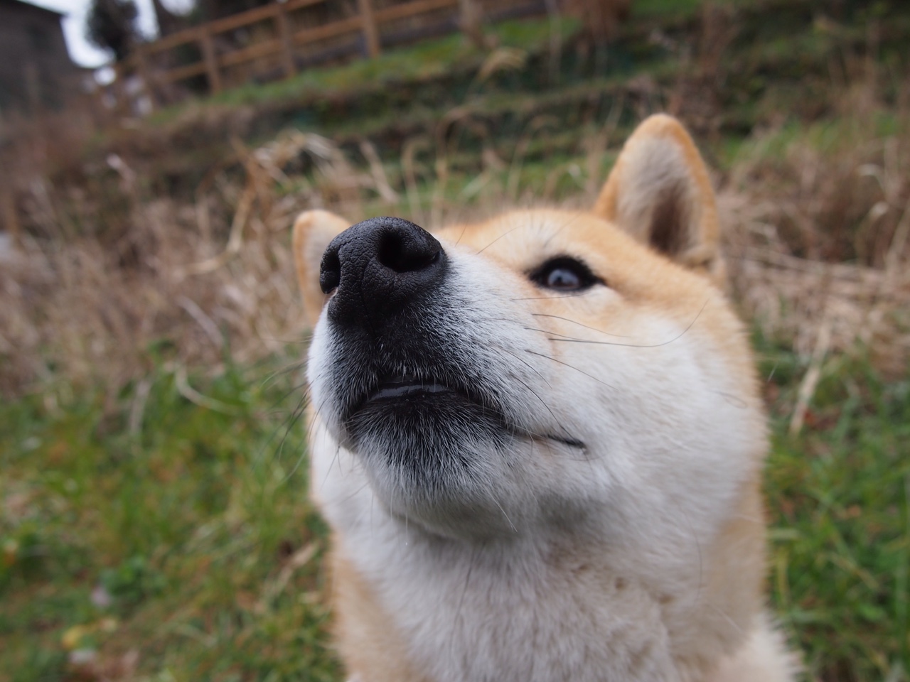 开云平台-千叶喷射机季初状态回暖，千叶喷气机