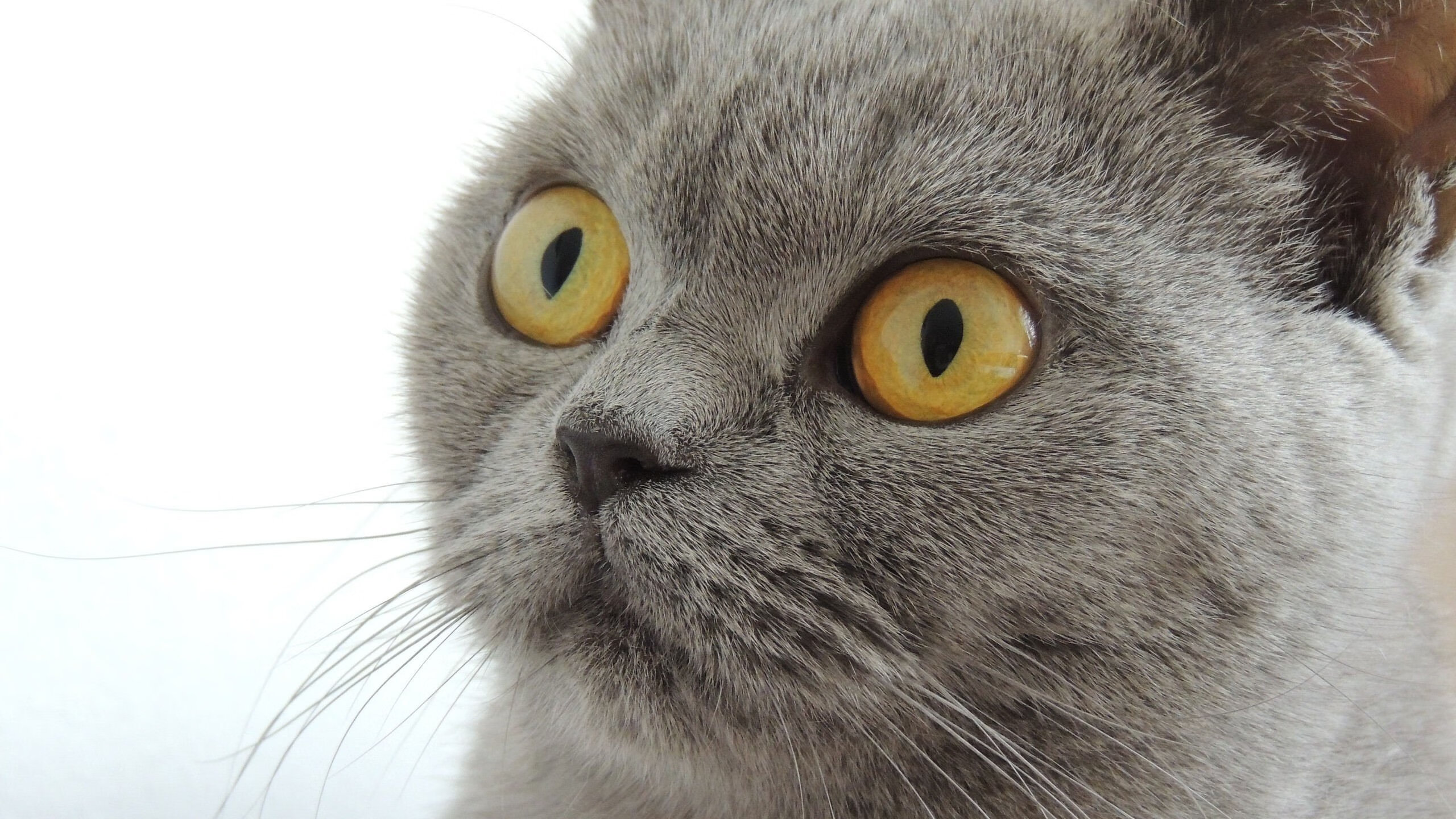 国足与亚洲强队交流合作是否频繁,国足时隔亚洲杯