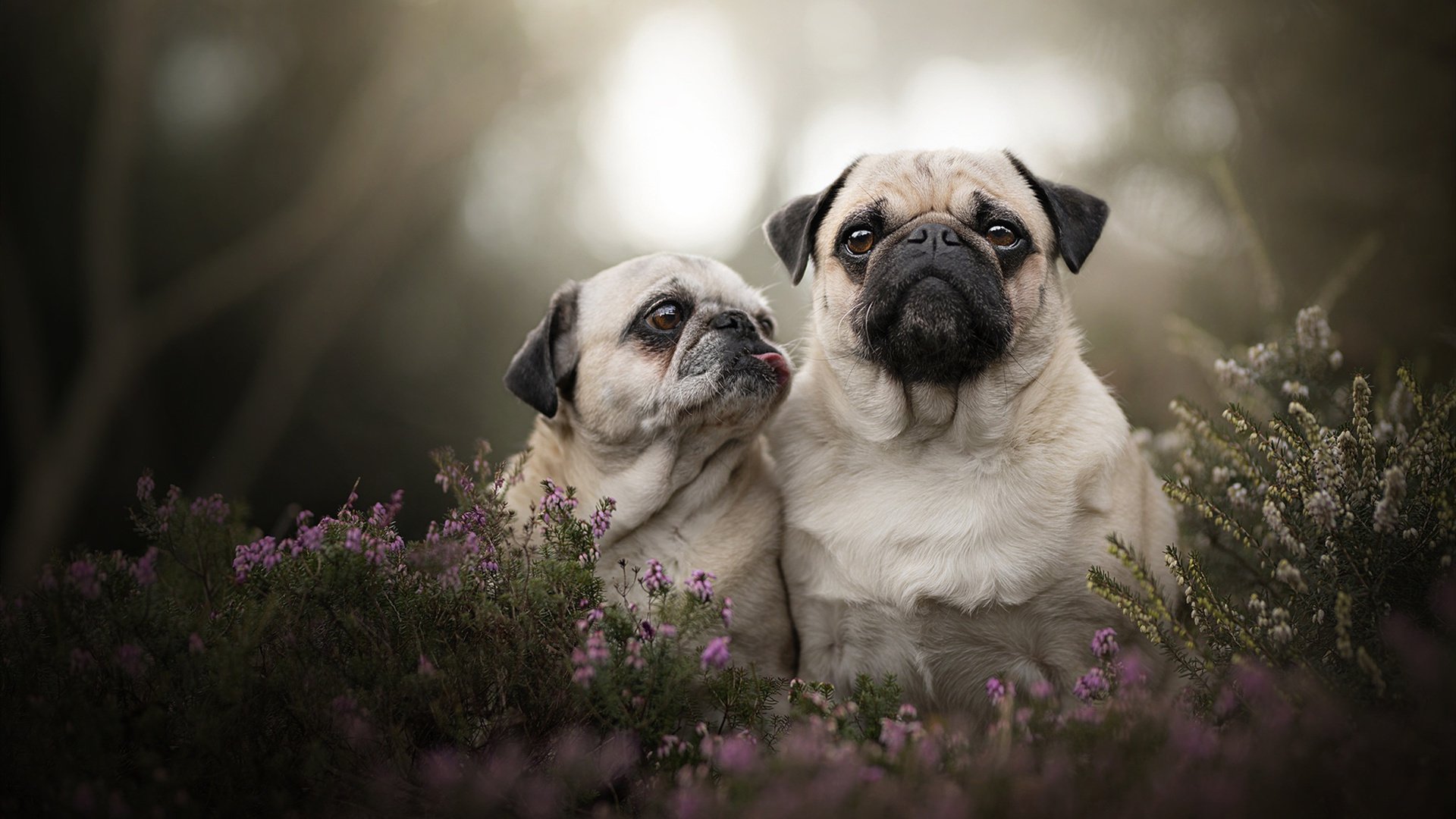 开云官方网站-热身赛精彩表现，国家队斩获好成绩，热身赛赛程