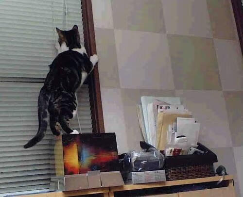 开云网页版登录入口-皇家马德里主场2-0战胜拉斯帕尔马斯，收获三分，皇家马德里俱乐部主场