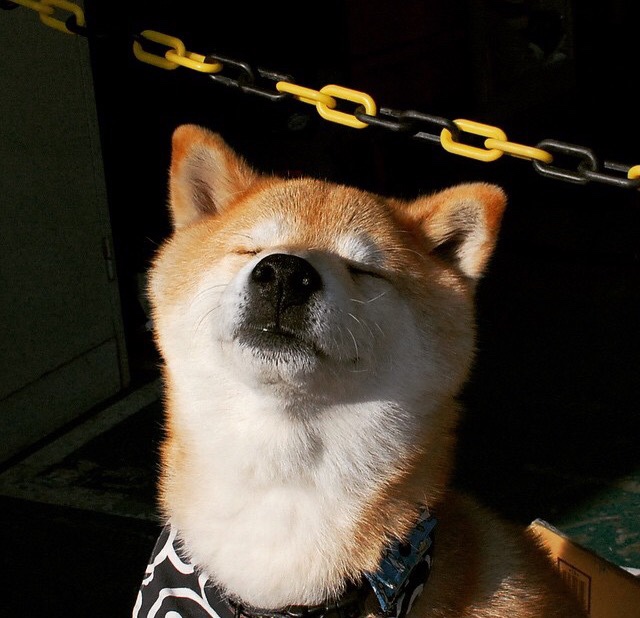 kaiyun登录入口-皇马欧冠小组赛六战全胜晋级16强，皇马欧冠小组赛全部出线