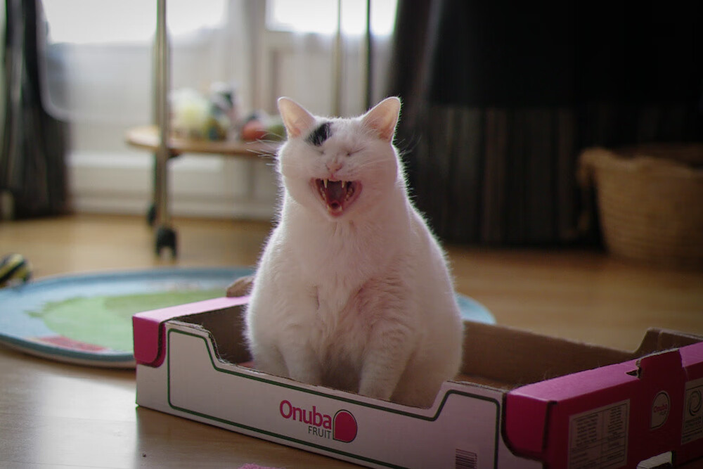 开云入口-青训体系改革，注重技术与战术结合，青训是啥