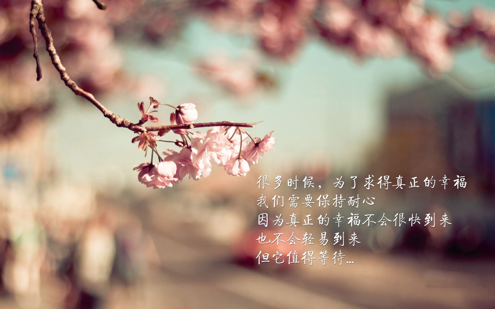 NBA赛季篮板王球员盘点,2021赛季nba篮板王