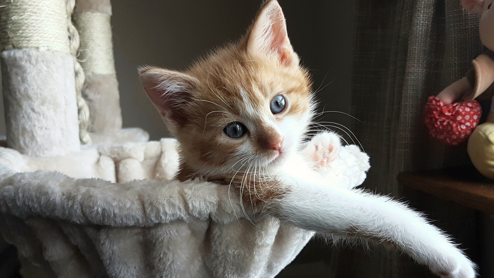 中超比赛对手策略研究模型构建,中超比赛对手策略研究模型构建方法