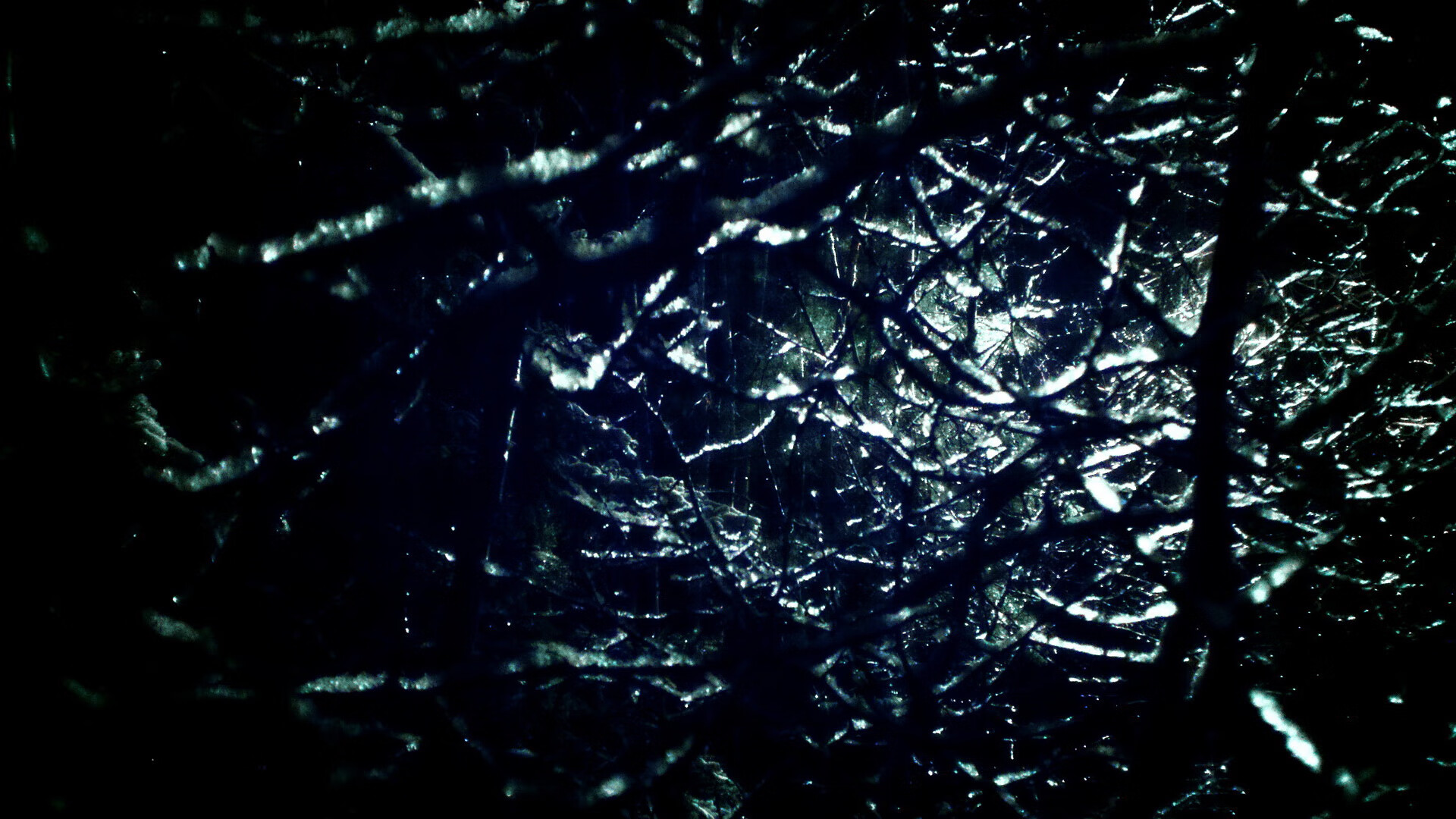 开云·体育官网-鹈鹕球迷自制应援短片获官方转发，鹈鹕球衣赞助商